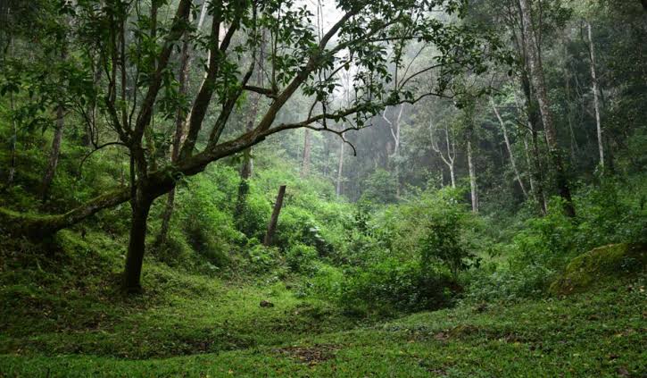 Pathanamthitta